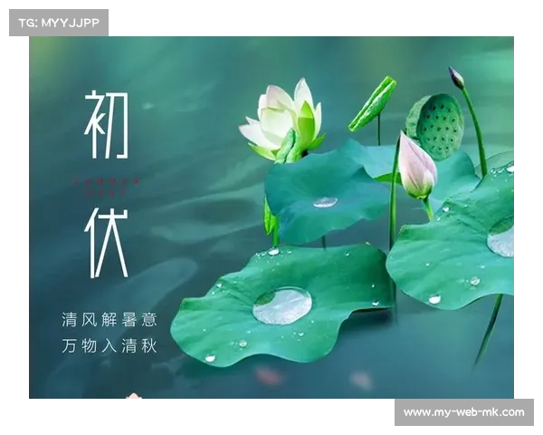 今日入伏“凶日”警示：揭秘“开、出、吃、收”的传统智慧(今日入伏的具体时间)